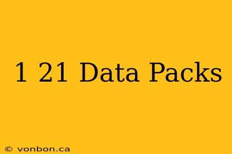 1 21 Data Packs