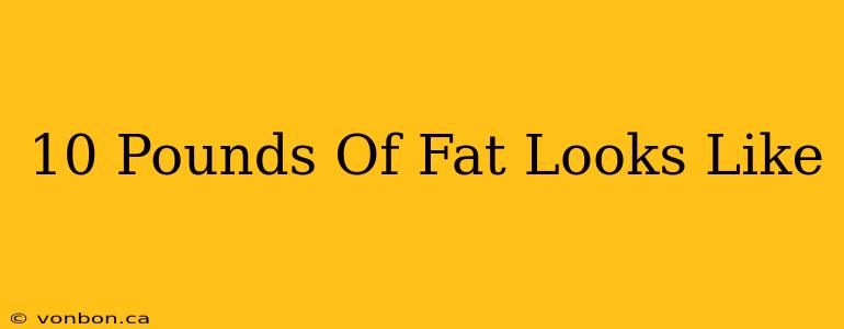 10 Pounds Of Fat Looks Like