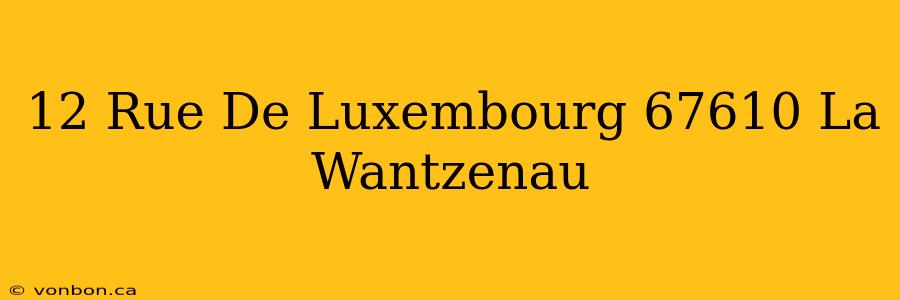 12 Rue De Luxembourg 67610 La Wantzenau