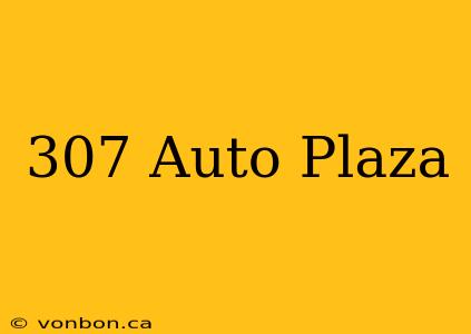 307 Auto Plaza