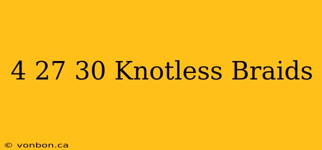 4 27 30 Knotless Braids