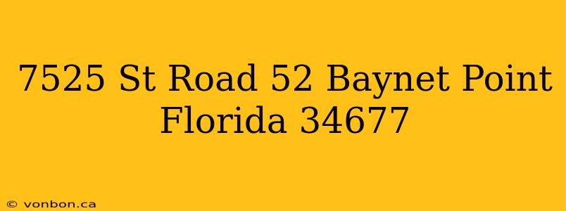 7525 St Road 52 Baynet Point Florida 34677