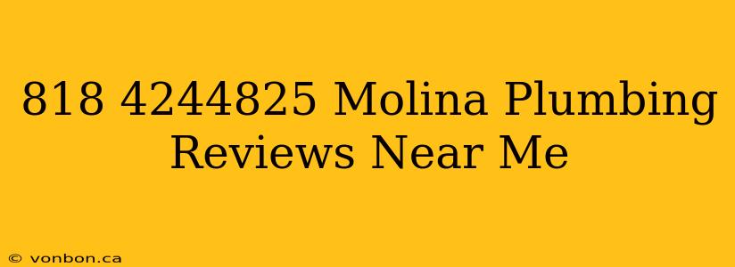 818 4244825 Molina Plumbing Reviews Near Me