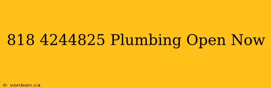 818 4244825 Plumbing Open Now