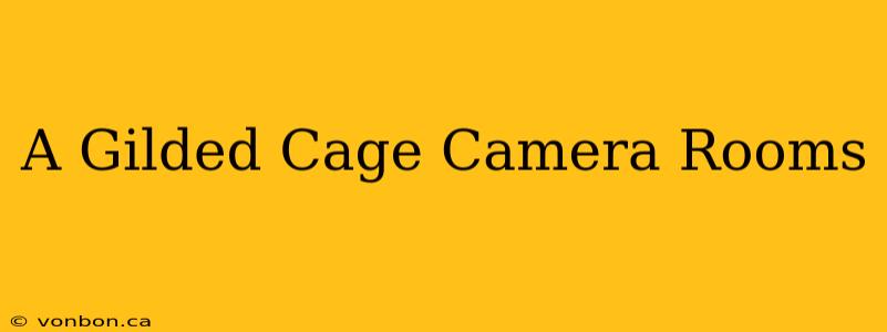 A Gilded Cage Camera Rooms