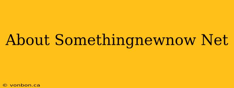 About Somethingnewnow Net