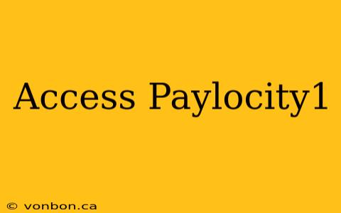 Access Paylocity1