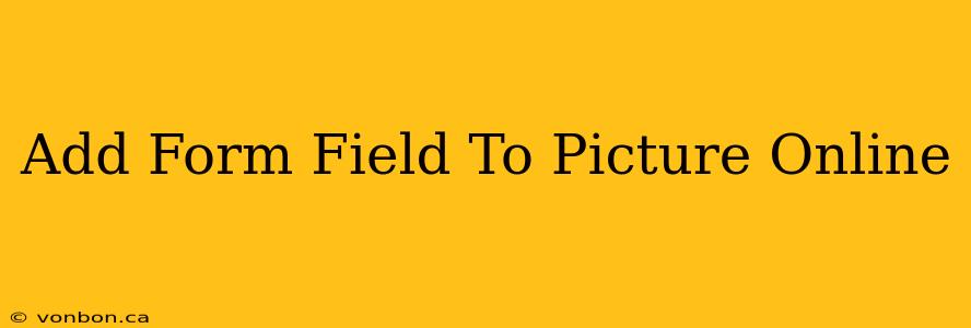 Add Form Field To Picture Online