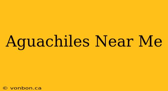 Aguachiles Near Me