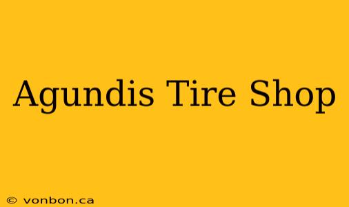 Agundis Tire Shop