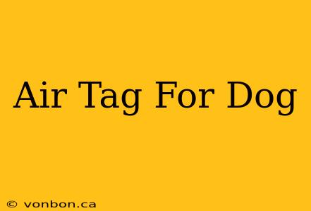 Air Tag For Dog