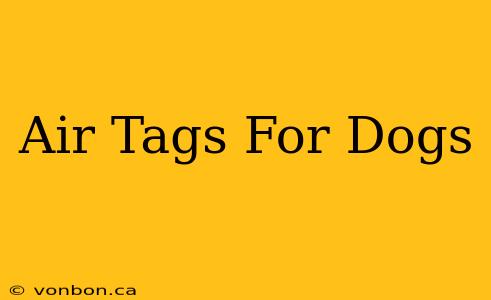 Air Tags For Dogs