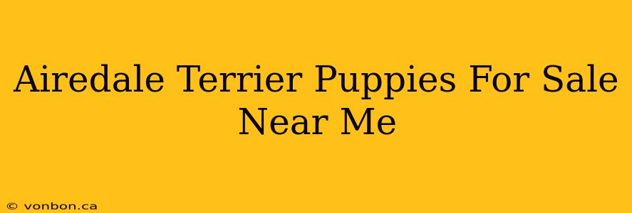 Airedale Terrier Puppies For Sale Near Me