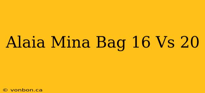 Alaia Mina Bag 16 Vs 20