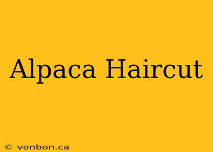 Alpaca Haircut