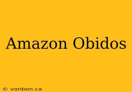 Amazon Obidos