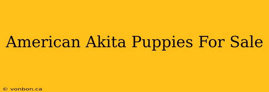 American Akita Puppies For Sale