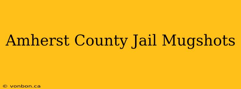 Amherst County Jail Mugshots