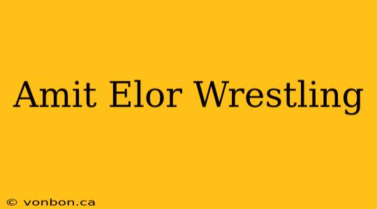 Amit Elor Wrestling