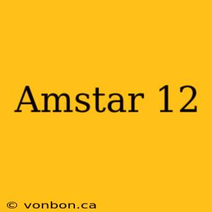 Amstar 12