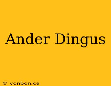 Ander Dingus