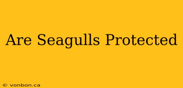 Are Seagulls Protected