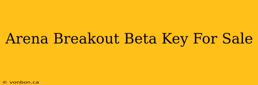 Arena Breakout Beta Key For Sale