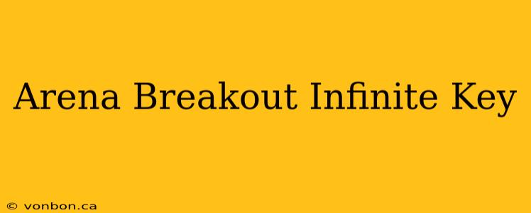 Arena Breakout Infinite Key