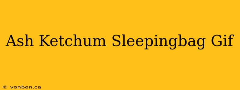 Ash Ketchum Sleepingbag Gif