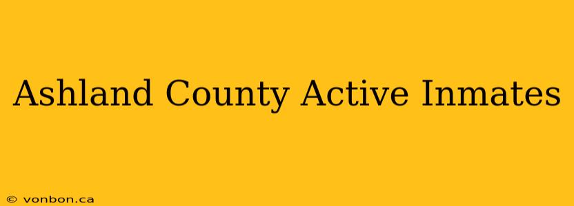 Ashland County Active Inmates