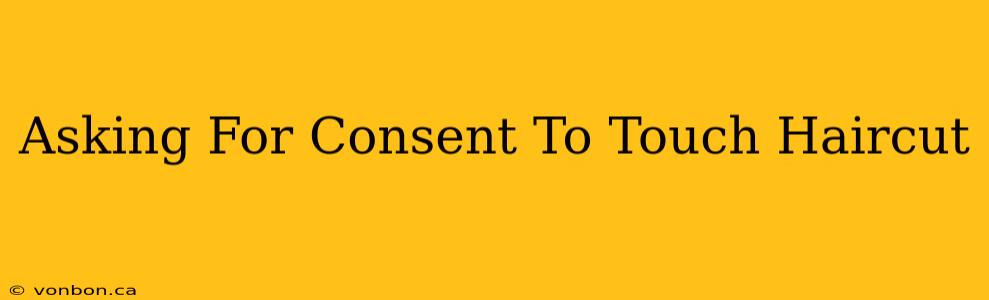 Asking For Consent To Touch Haircut