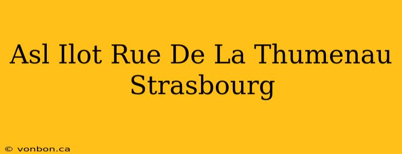 Asl Ilot Rue De La Thumenau Strasbourg