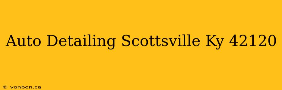 Auto Detailing Scottsville Ky 42120