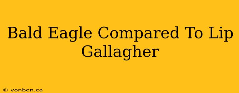 Bald Eagle Compared To Lip Gallagher