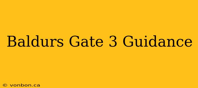 Baldurs Gate 3 Guidance