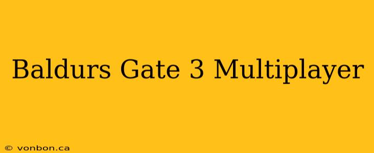 Baldurs Gate 3 Multiplayer