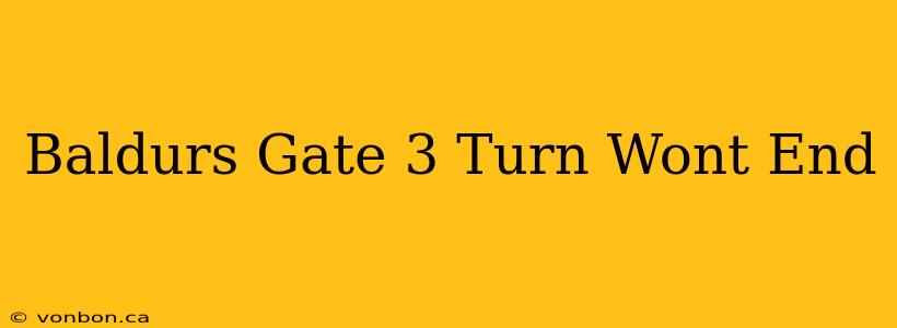 Baldurs Gate 3 Turn Wont End