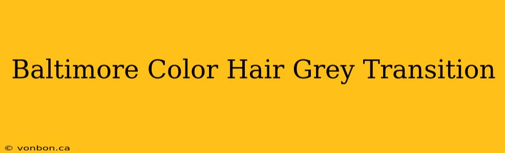 Baltimore Color Hair Grey Transition