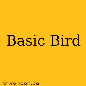 Basic Bird