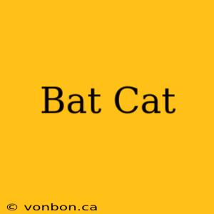 Bat Cat