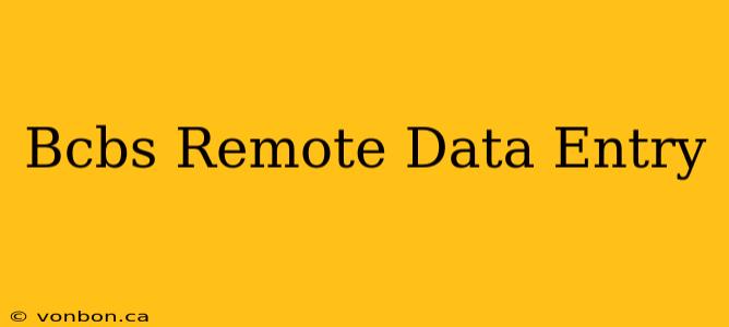 Bcbs Remote Data Entry