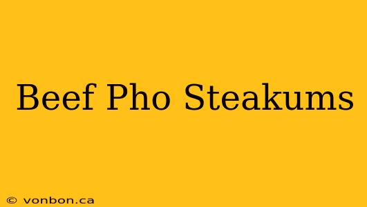 Beef Pho Steakums