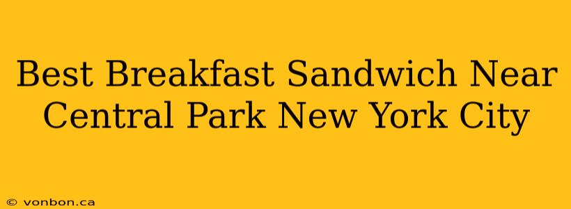 Best Breakfast Sandwich Near Central Park New York City