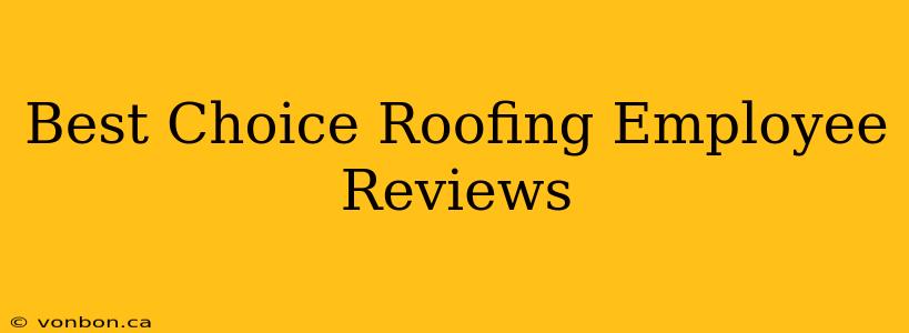 Best Choice Roofing Employee Reviews