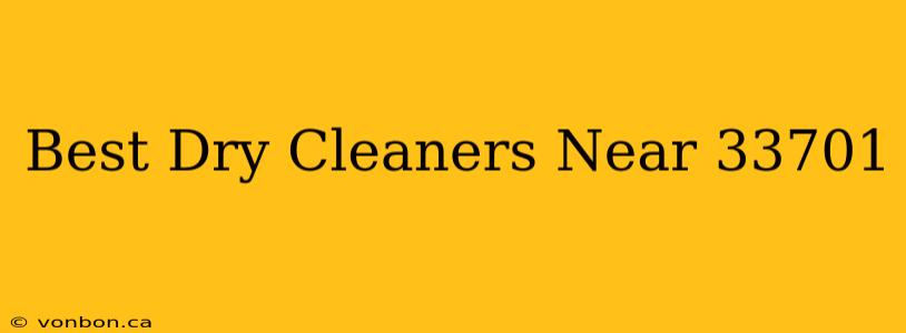 Best Dry Cleaners Near 33701