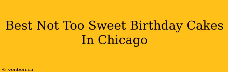 Best Not Too Sweet Birthday Cakes In Chicago