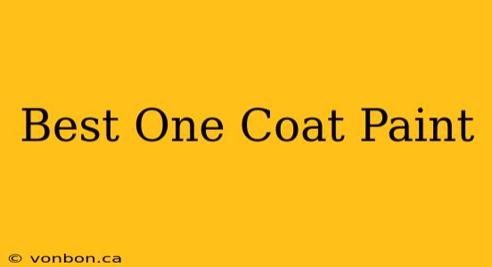 Best One Coat Paint