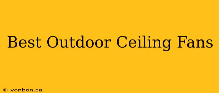 Best Outdoor Ceiling Fans