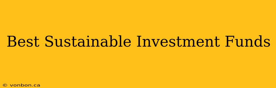 Best Sustainable Investment Funds