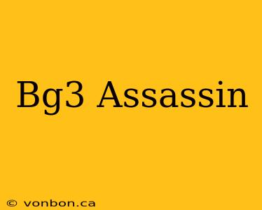 Bg3 Assassin